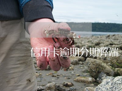 信用卡逾期分期弊端 信用卡逾期分期弊端