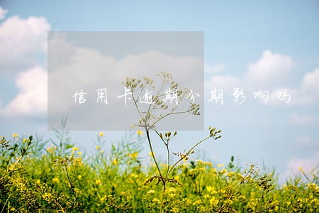 信用卡逾期分期影响吗 信用卡逾期分期影响吗