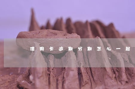 信用卡逾期分期怎么一起还完