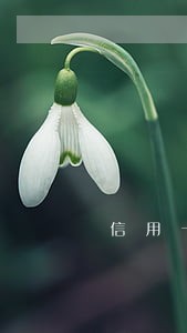 信用卡逾期分期怎么收费 信用卡逾期分期怎么收费