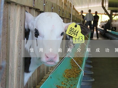 信用卡逾期分期成功算逾期吗 信用卡逾期分期成功算逾期吗