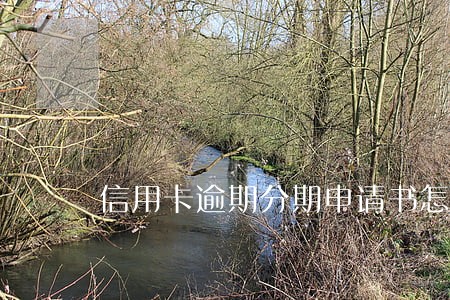 信用卡逾期分期申请书怎么写模板 信用卡逾期分期申请书怎么写模板