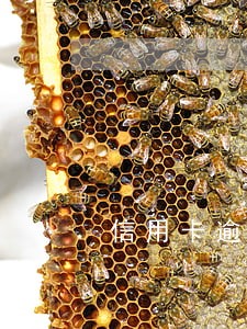 信用卡逾期分期申请降额