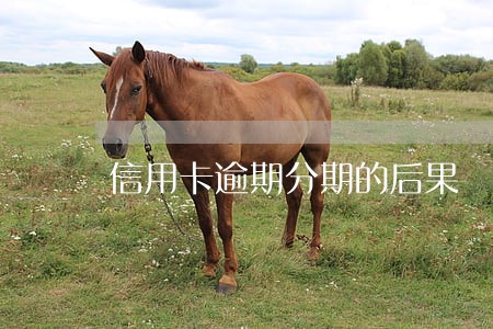信用卡逾期分期的后果