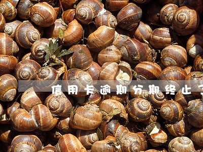 信用卡逾期分期终止了怎么还款 信用卡逾期分期终止了怎么还款