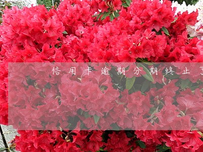 信用卡逾期分期终止了有通知吗 信用卡逾期分期终止了有通知吗