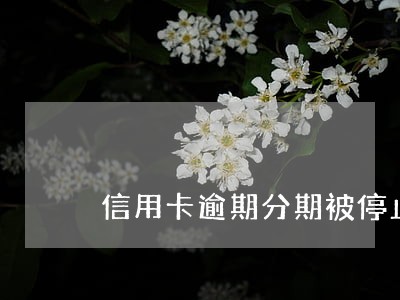 信用卡逾期分期被停止