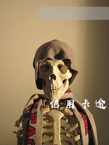 信用卡逾期分期要工作证明
