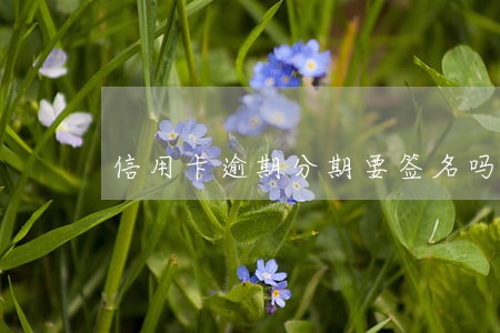 信用卡逾期分期要签名吗