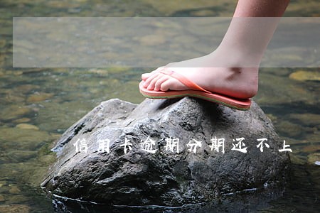 信用卡逾期分期还不上