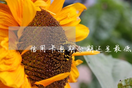 信用卡逾期分期还是最低还款好 信用卡逾期分期还是最低还款好