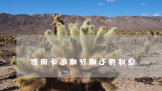 信用卡逾期分期还有利息