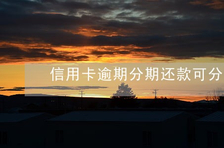 信用卡逾期分期还款可分多少期