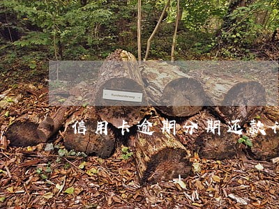 信用卡逾期分期还款计划 信用卡逾期分期还款计划