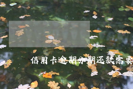 信用卡逾期分期还款需要签协议吗 信用卡逾期分期还款需要签协议吗