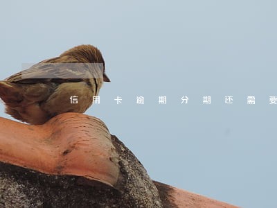 信用卡逾期分期还需要利息吗 信用卡逾期分期还需要利息吗