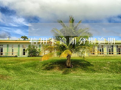 信用卡逾期分期逾期一个月