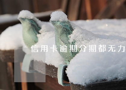 信用卡逾期分期都无力偿还 信用卡逾期分期都无力偿还
