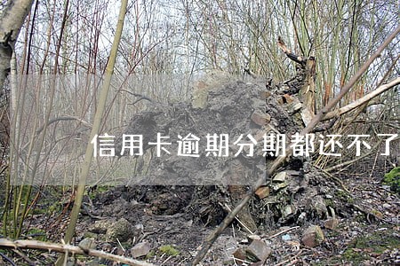 信用卡逾期分期都还不了怎么办