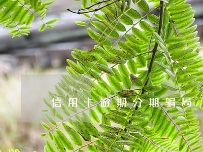 信用卡逾期分期骗局 信用卡逾期分期骗局