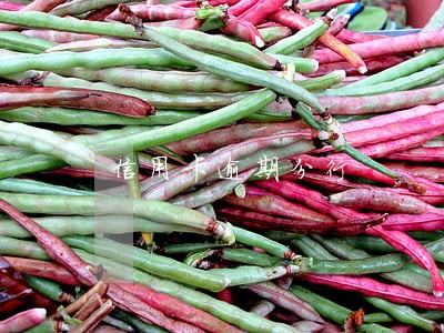 信用卡逾期分行