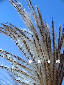 信用卡逾期刑事处罚 信用卡逾期刑事处罚