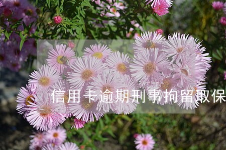 信用卡逾期刑事拘留取保后怎么办