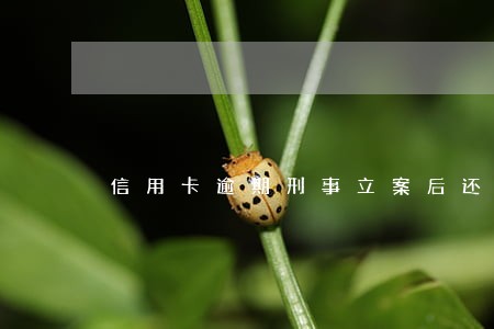 信用卡逾期刑事立案后还款的 信用卡逾期刑事立案后还款的