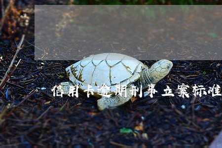 信用卡逾期刑事立案标准最新 信用卡逾期刑事立案标准最新