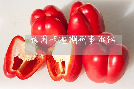 信用卡逾期刑事诉讼