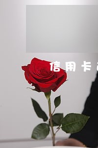 信用卡逾期刑事追诉期怎么算 信用卡逾期刑事追诉期怎么算