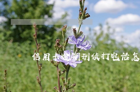 信用卡逾期刑侦打电话怎么办 信用卡逾期刑侦打电话怎么办