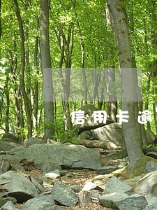信用卡逾期刑侦支队会上门吗
