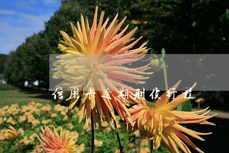 信用卡逾期刑侦行程 信用卡逾期刑侦行程