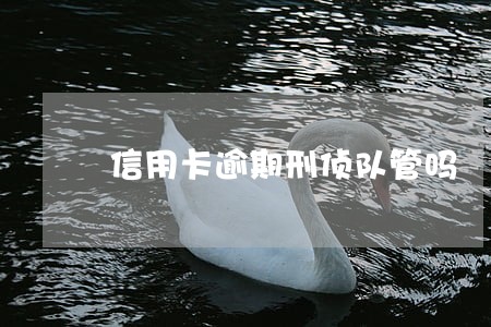 信用卡逾期刑侦队管吗 信用卡逾期刑侦队管吗