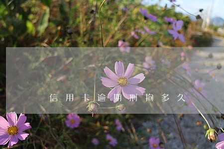 信用卡逾期刑拘多久 信用卡逾期刑拘多久