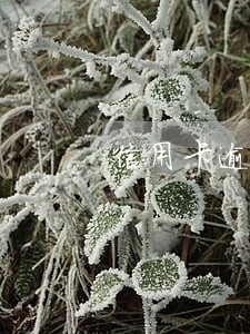 信用卡逾期刑法解释 信用卡逾期刑法解释
