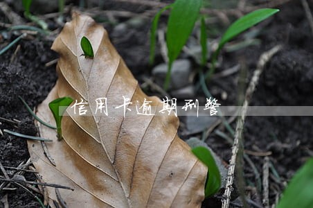 信用卡逾期刑警