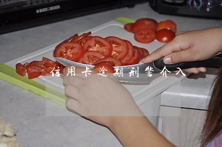 信用卡逾期刑警介入 信用卡逾期刑警介入