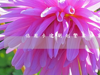 信用卡逾期刑警要立案会怎样 信用卡逾期刑警要立案会怎样