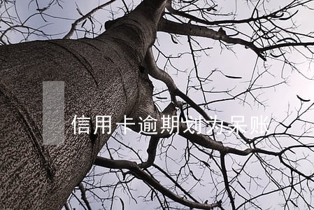 信用卡逾期划为呆账 信用卡逾期划为呆账