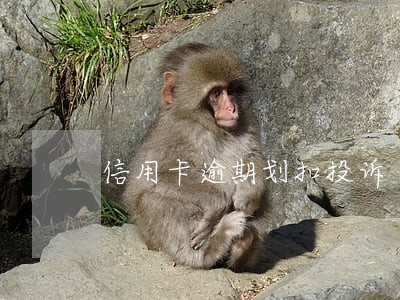 信用卡逾期划扣投诉 信用卡逾期划扣投诉