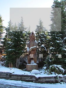 信用卡逾期划走储蓄卡 信用卡逾期划走储蓄卡