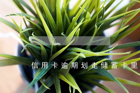 信用卡逾期划走储蓄卡里的钱