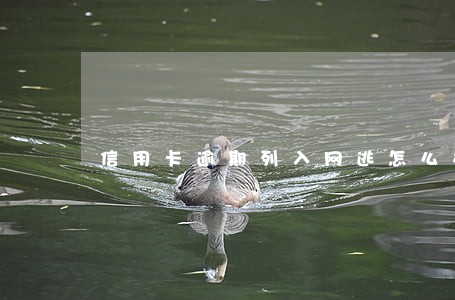 信用卡逾期列入网逃怎么办