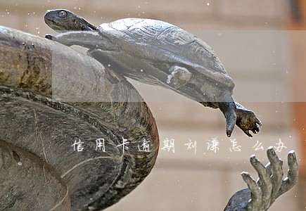 信用卡逾期刘谦怎么办 信用卡逾期刘谦怎么办
