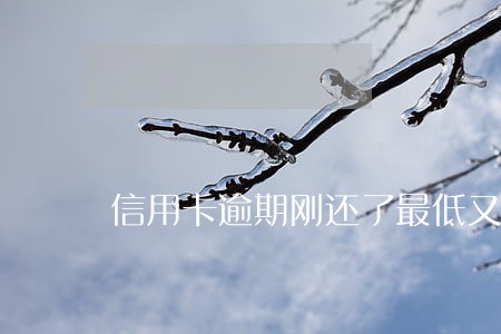 信用卡逾期刚还了最低又让还 信用卡逾期刚还了最低又让还