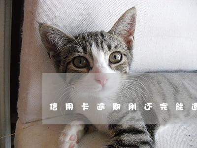 信用卡逾期刚还完能透支吗
