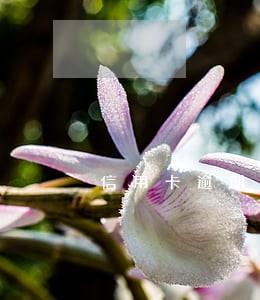 信用卡逾期初期谁催收 信用卡逾期初期谁催收