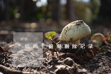 信用卡逾期删除记录 信用卡逾期删除记录